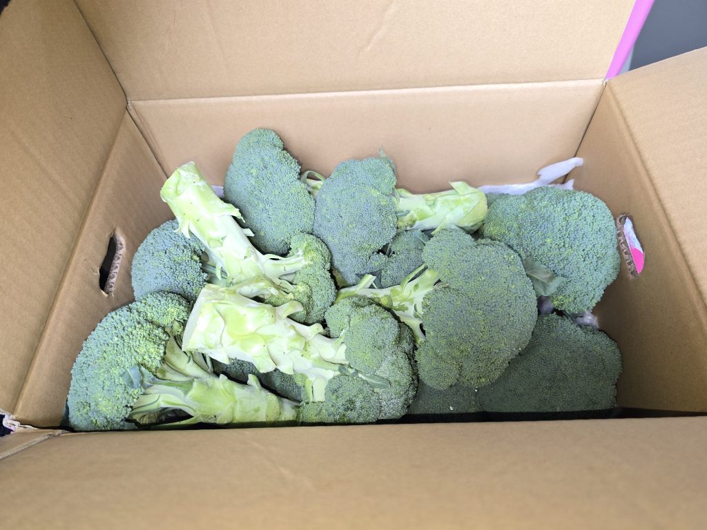 【いちご】をお弁当屋さんと八百屋さんを経営されているご夫婦よりご購入させて頂いた際、【ブロッコリー】をご提供いただきましたので、子ども食堂をされている「おかや食堂さん」と「子ども食堂 つなぐ」さんにお届けをさせていただきました。